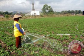 Dampak Kekeringan Trenggalek