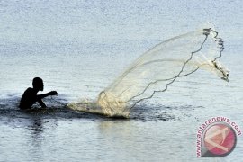 MANFAATKAN PENDANGKALAN DANAU BORONG