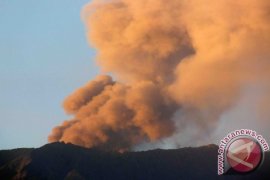 BPBD: Aktivitas Tremor Gunung Raung Kembali Meningkat