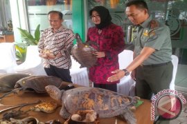 BKSDA Jabar Amankan 69 Potongan Satwa Dilindungi