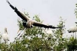 Pulau Basu Kawasan Tahura Yang Menjanjikan Bag.II