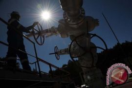 Indonesian govt to develop renewable energy for rural electricity