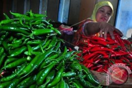 Cegah Inflasi, Satu Keluarga Tanam 10 Cabai