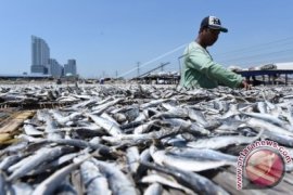 Padangpariaman Kembangkan Program Pendapatan Alternatif Nelayan