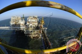 Pemerintah diminta hentikan penyusutan investasi hulu gas