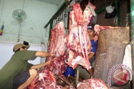 Pemkab Tolak Sapi Impor Masuk Jember