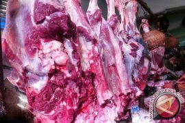 Harga Daging Sapi Di Jambi Bertahan