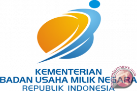 SOEs Ministry dismisses hoax on taking legal measure on aspersion