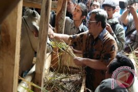 Pentas Ternak 2015 Motivasi Jabar Swasembada Pangan