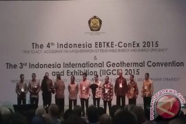 Pemerintah Beri Izin 15 Investor Panas Bumi