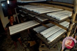  Tempe Tak Disarankan Dikonsumsi Mentah