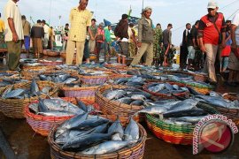 Pedagang Harapkan Pengusaha Investasi Perikanan di Lhokseumawe