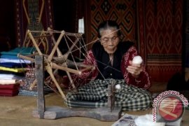 PEMINTAL KAPAS MINIM PENERUS