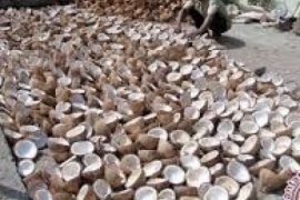 Bupati Indragiri Hilir Harapkan Kopra Jadi Komoditi