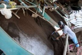 LIPI Patenkan Biourine Kampar