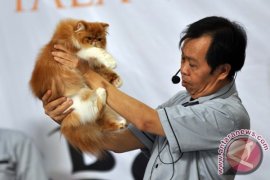 BANDUNG TUAN RUMAH KONTES KUCING INTERNASIONAL
