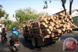 Polres Madiun Tangkap Pelaku Pencurian Kayu Ilegal