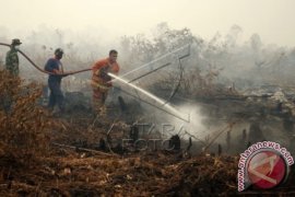 Kebakaran di California utara, 56 tewas 100 orang hilang