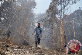 Willem Rampangilei Kepala BNPB Yang Baru 