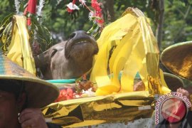 Petani Trenggalek Gelar Ritual "Nyadranan" Dam Bagong