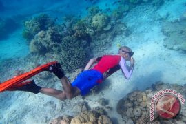 "rally Yacht" Masih Berdatangan Di Gorontalo Utara