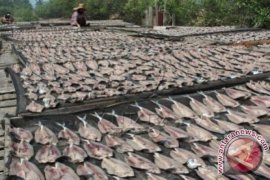 Pengolah ikan di Aceh gunakan garam impor