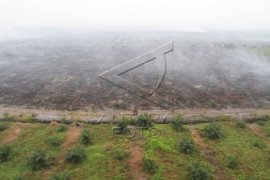 Tiga Pimpinan Perusahaan Calon Tersangka Pembakaran Lahan  