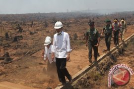 Presiden Tunda ke Sumut karena Tinjau Kebakaran Lahan Kalteng