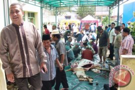 Pemkot Padangsidimpuan Sembeli 29 Hewan Kurban