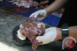 Tim Hewan Kurban Temanggung Temukan Cacing Hati
