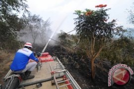 Tiga Gunung di Sulut Terbakar