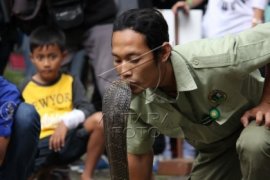 "Pet's Day" Jalin Silaturahmi