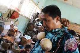 Ternyata Bra Batok Penari Hawaii Buatan "Wong Ndeso" Banyuwangi