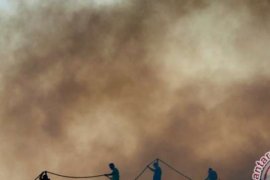 APHI Riau Merasa Dibombastis Karhutla