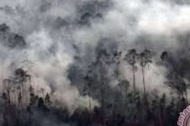   Riau Police Name 32 Suspects In Plantation Fire Cases