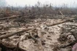 Polisi Kampar Selidiki Temuan Mayat Hangus