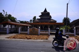 Harga Tembakau Turun