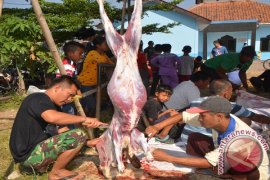 Gunakan Kertas Gantikan Plastik Untuk Kemasan Daging Kurban