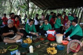 Jember Bidik Wisman Melalui Wisata Perkebunan