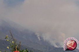 Kebakaran Hutan Di Bone Bolango Sulit Dipadamkan 