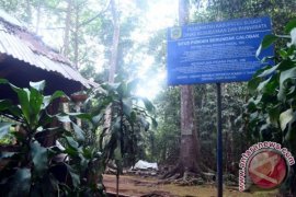 Melacak Jejak Megalitik Situs Calobak