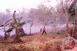 Satelit Deteksi 64 Titik Panas Di Kotabaru