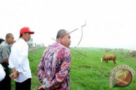 Masyarakat Mentawai Minta Universitas Negeri kepada Presiden