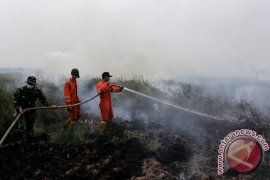 Kebakaran lahan Ogan Ilir Page 1 Small