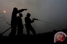 Kebakaran lahan Ogan Ilir Page 2 Small