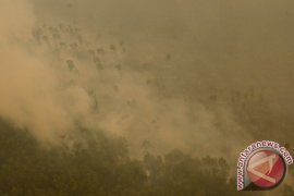 Kebakaran lahan di OKI Page 1 Small