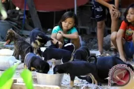 Penyelamatan Anjing Antisipasi Rabies