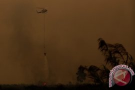 BPBD Sumsel tingkatkan pemantauan lahan rawan terbakar 