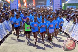 International Run 2015