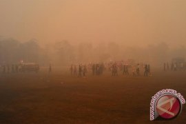 Ratusan ASN Dikerahkan Padamkan Lahan Terbakar